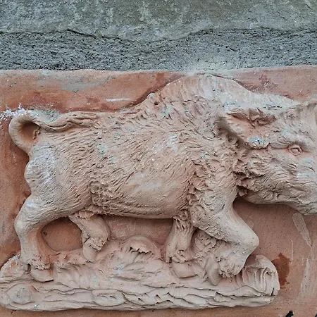 Guest house La Nocciolina Cascina Mose 3*